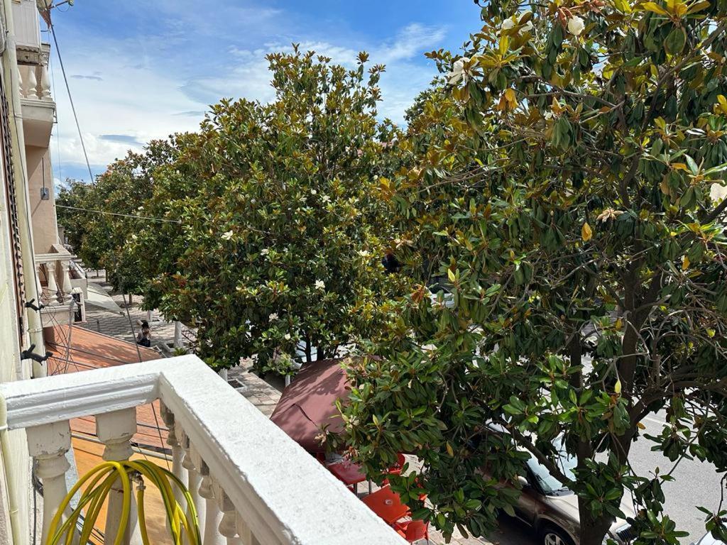 City Center Shkodra B&B Eksteriør billede